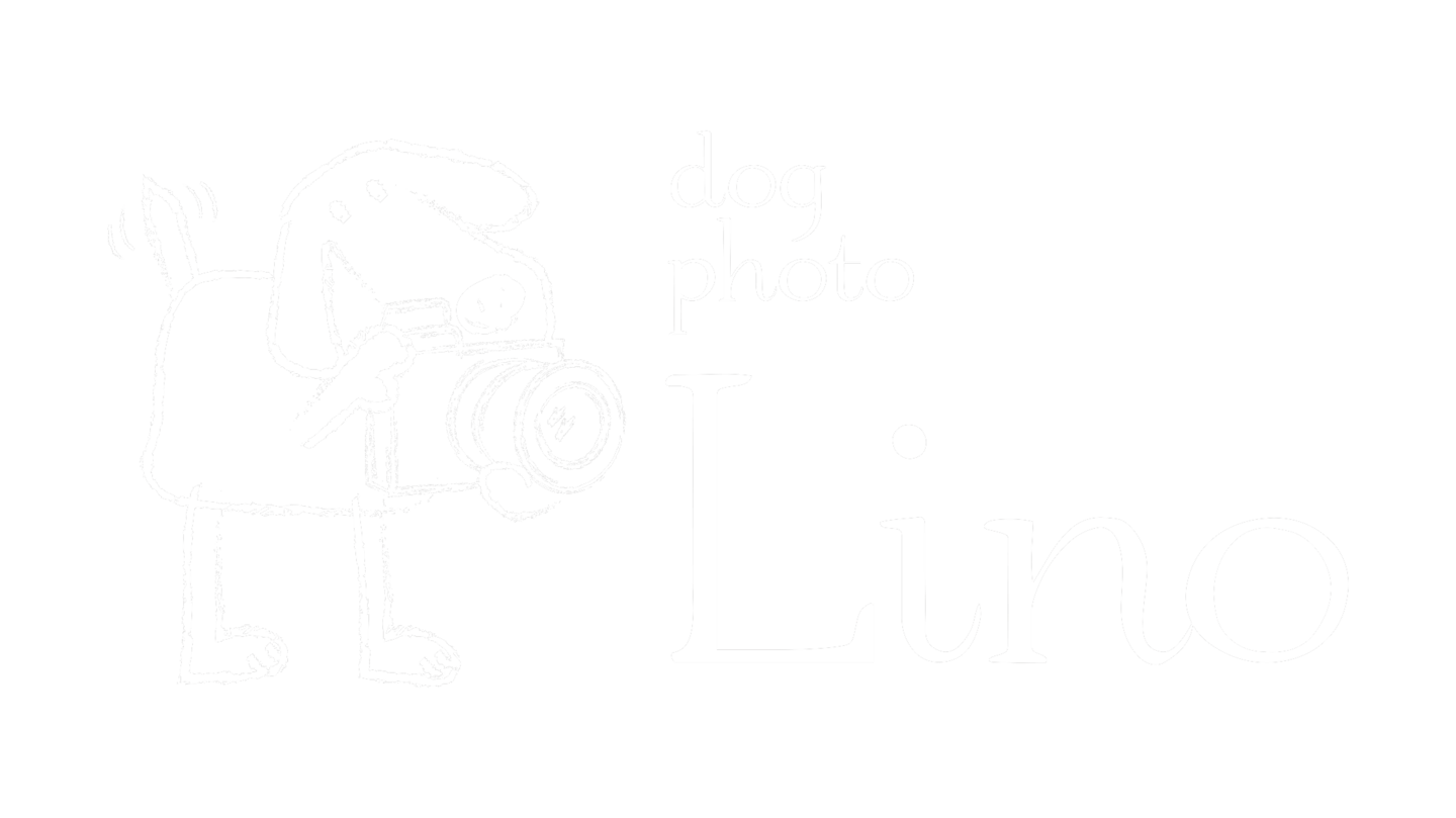 ドッグフォトリノロゴ01
