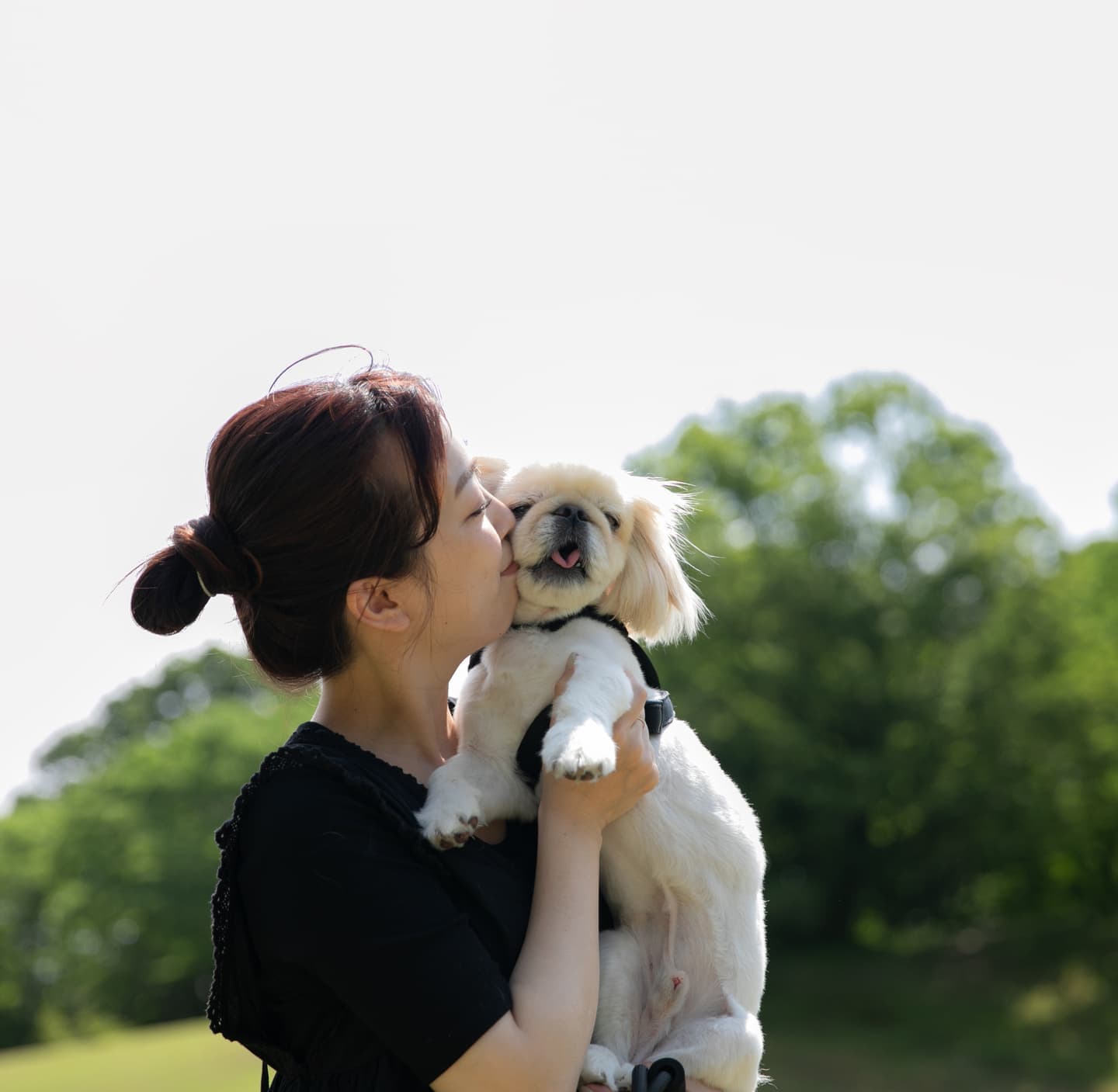 わんちゃんと家族